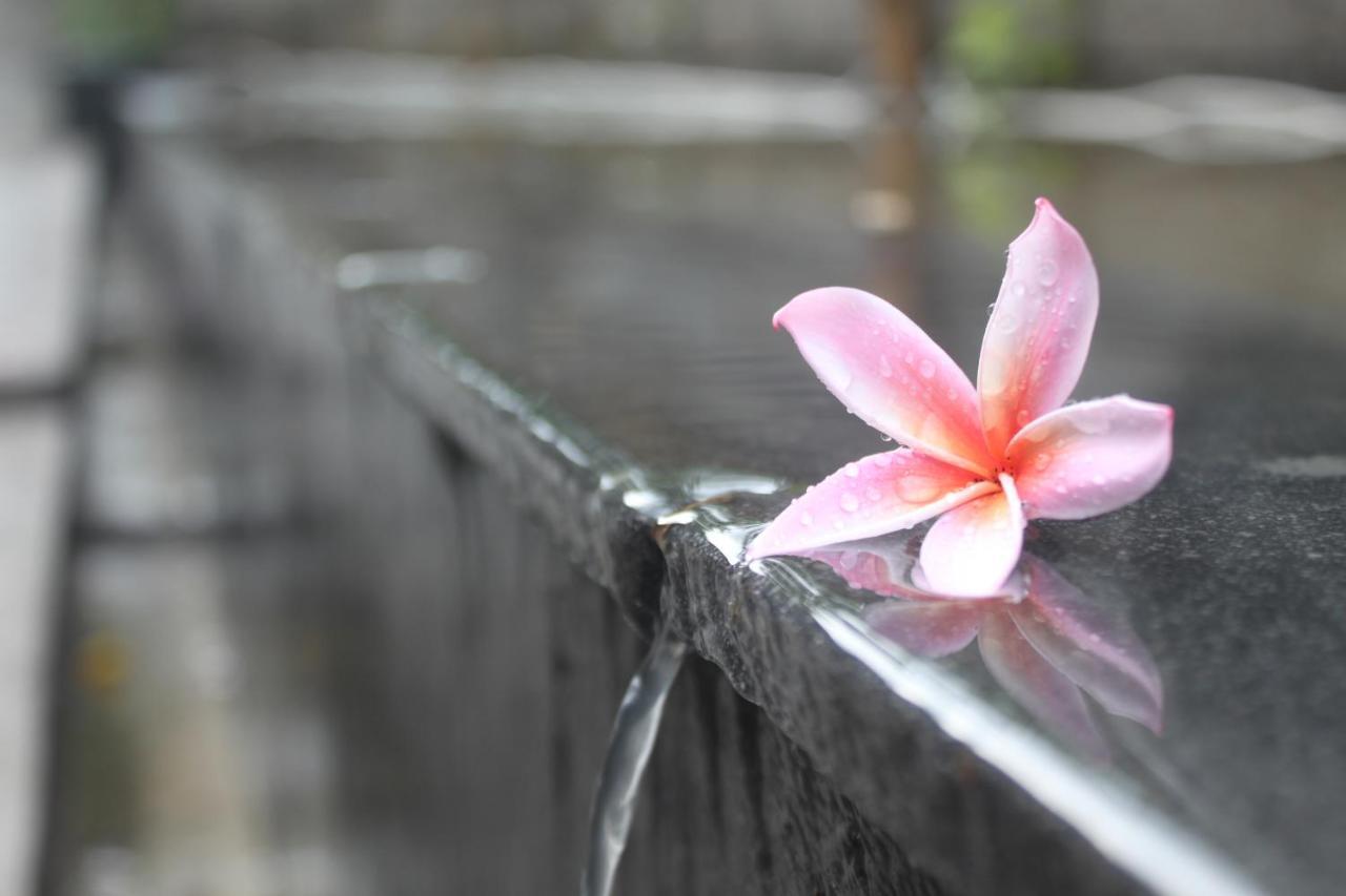 Morning Bali Bungalow 坎古 外观 照片